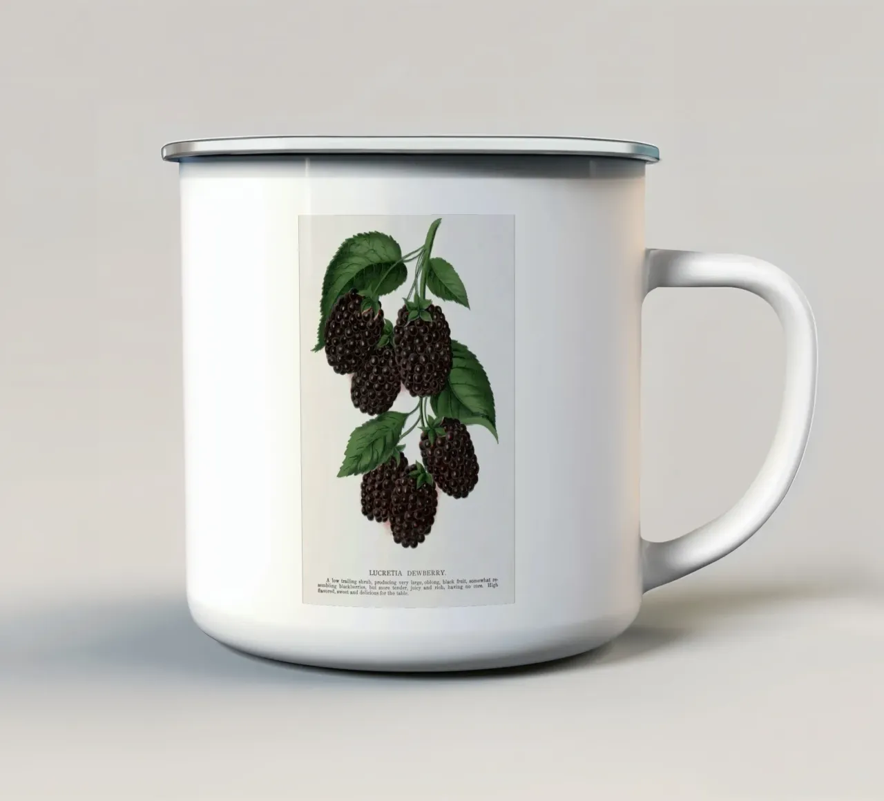 Lucretia Dewberry tazza in smalto da vintageshop