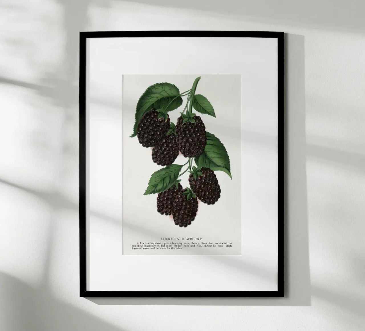 Lucretia Dewberry poster by vintageshop