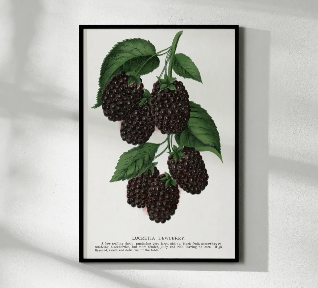 Lucretia Dewberry poster by vintageshop