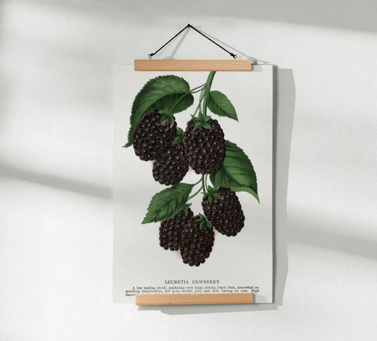 Lucretia Dewberry poster by vintageshop