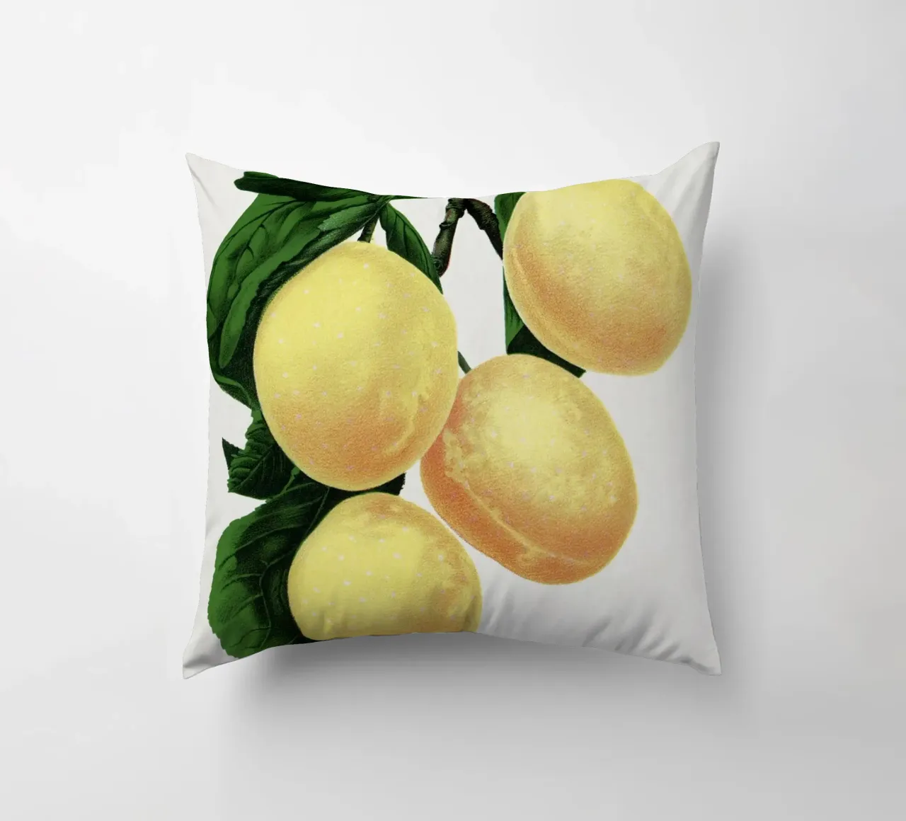 Coe's Golden Drop plum cuscino da vintageshop