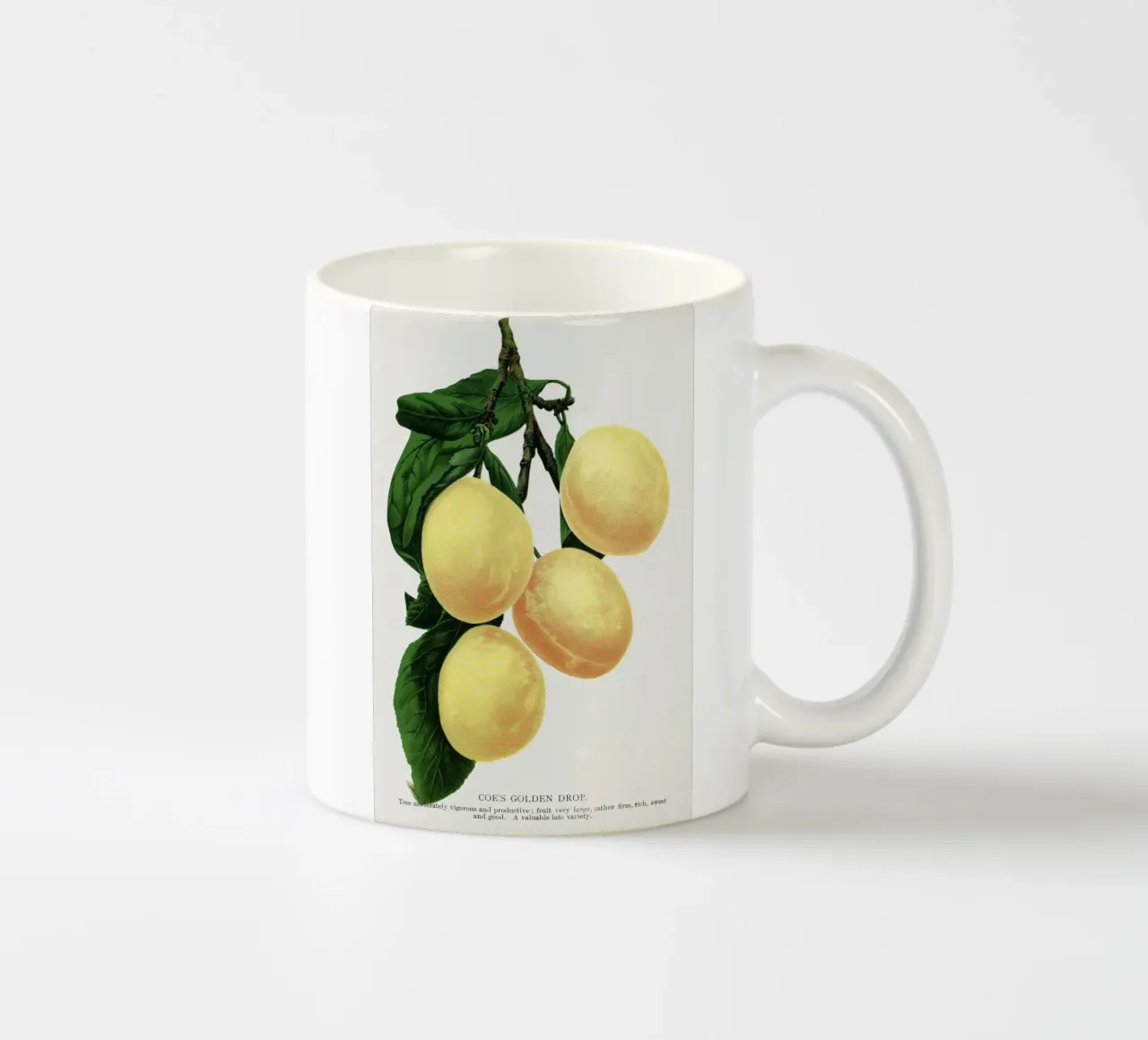 Coe's Golden Drop plum tazza in ceramica da vintageshop