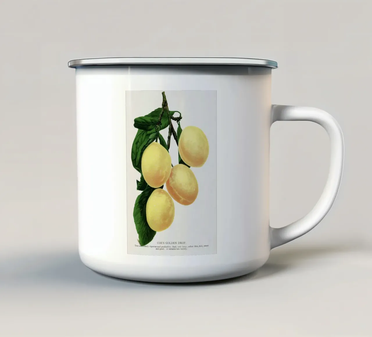 Coe's Golden Drop plum tazza in smalto da vintageshop