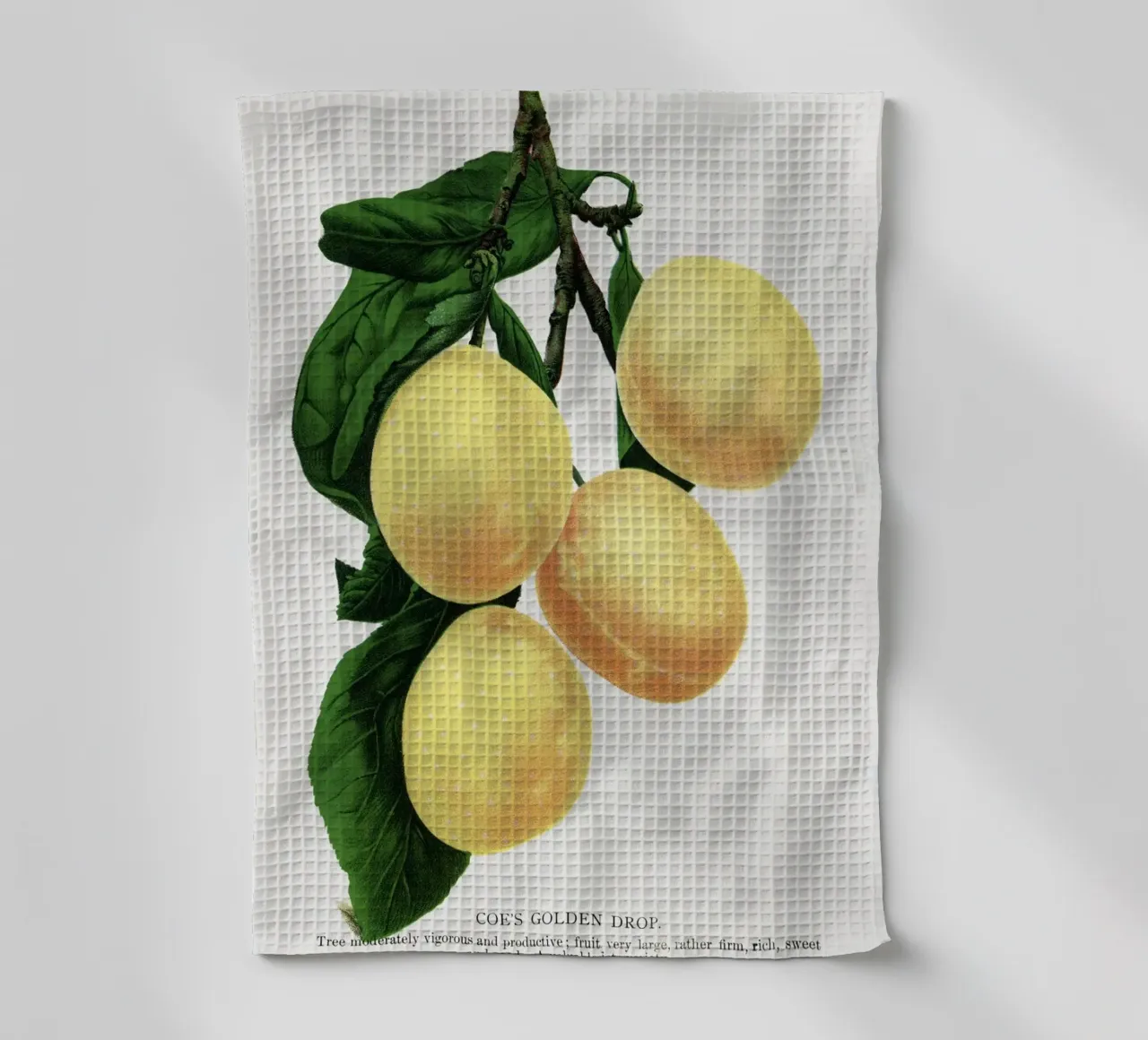 Coe's Golden Drop plum canovaccio da cucina da vintageshop