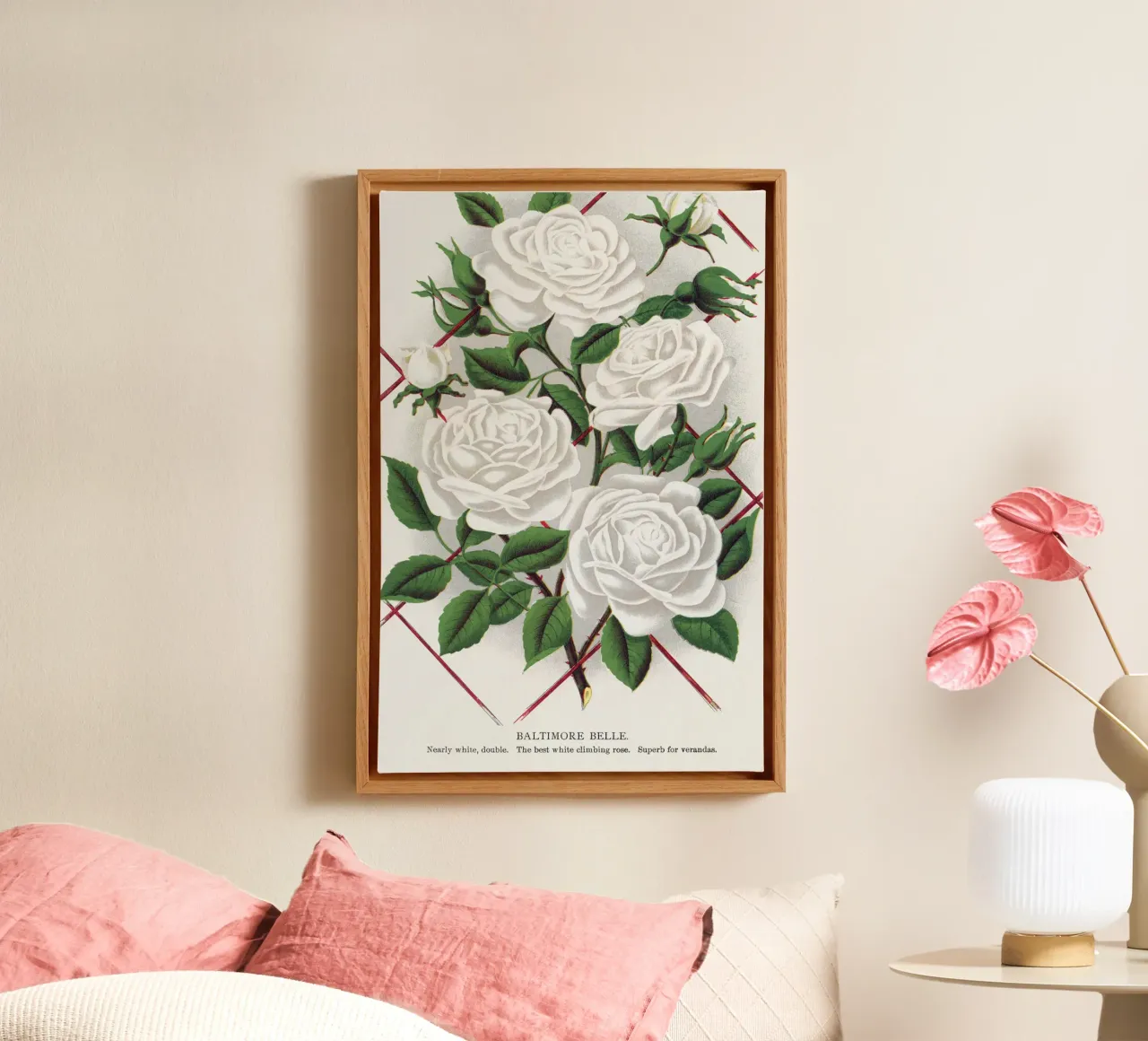 White rose, Baltimore Belle tela con Cornice a cassetta da vintageshop