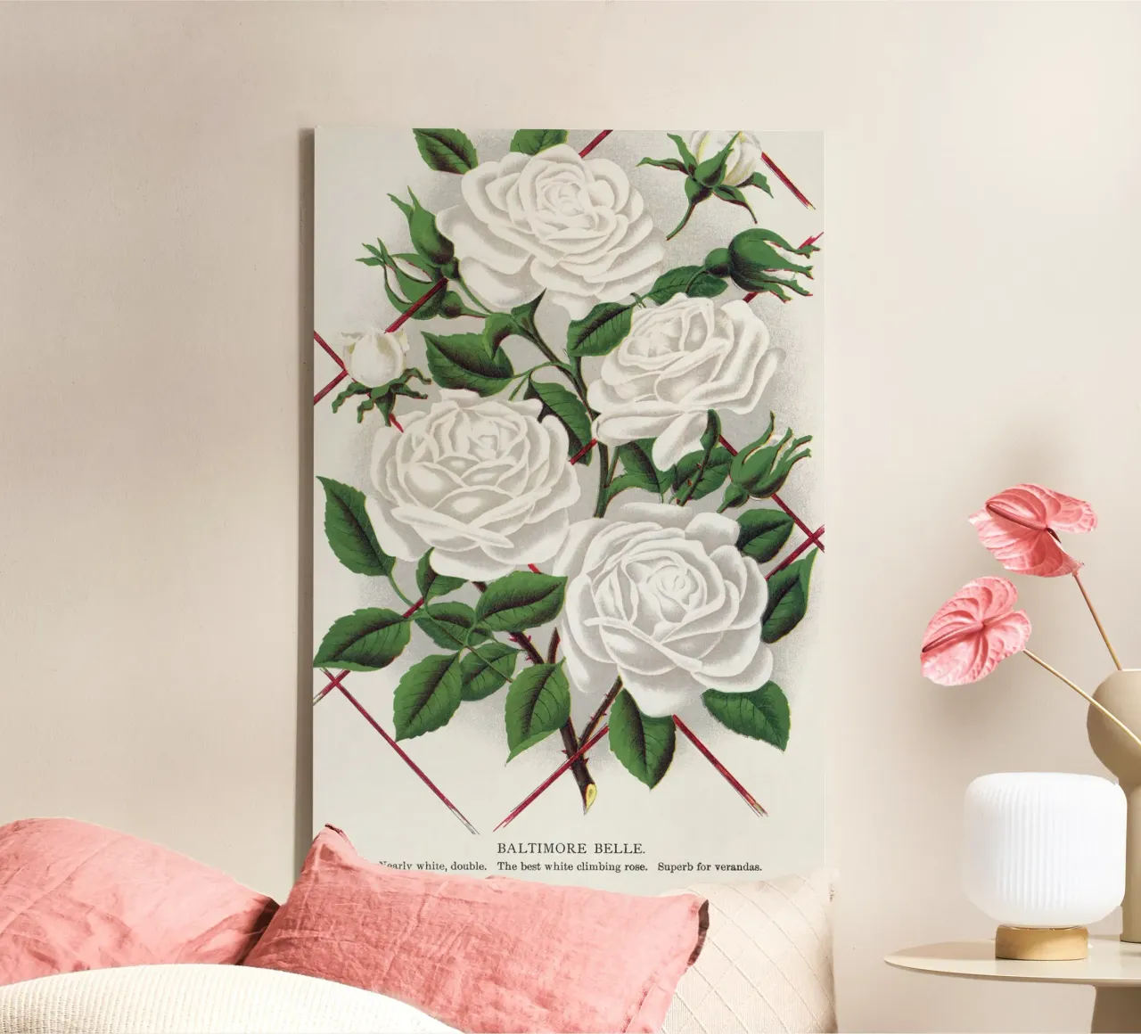 White rose, Baltimore Belle tela con Cornice a cassetta da vintageshop