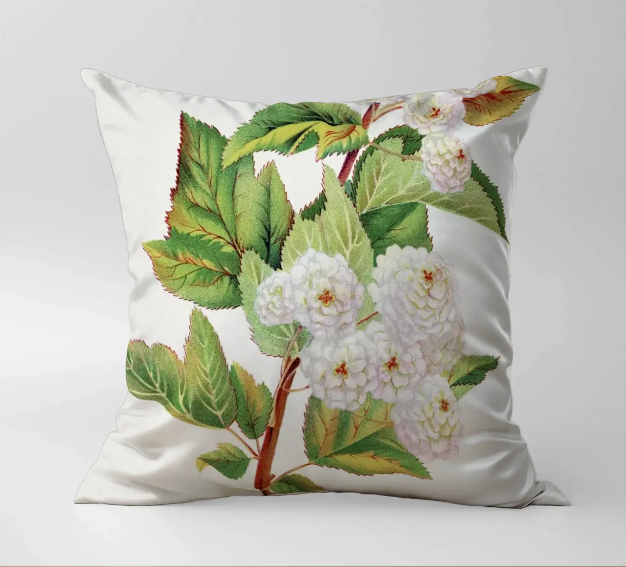 Spirea Aurea flowers cuscino da vintageshop
