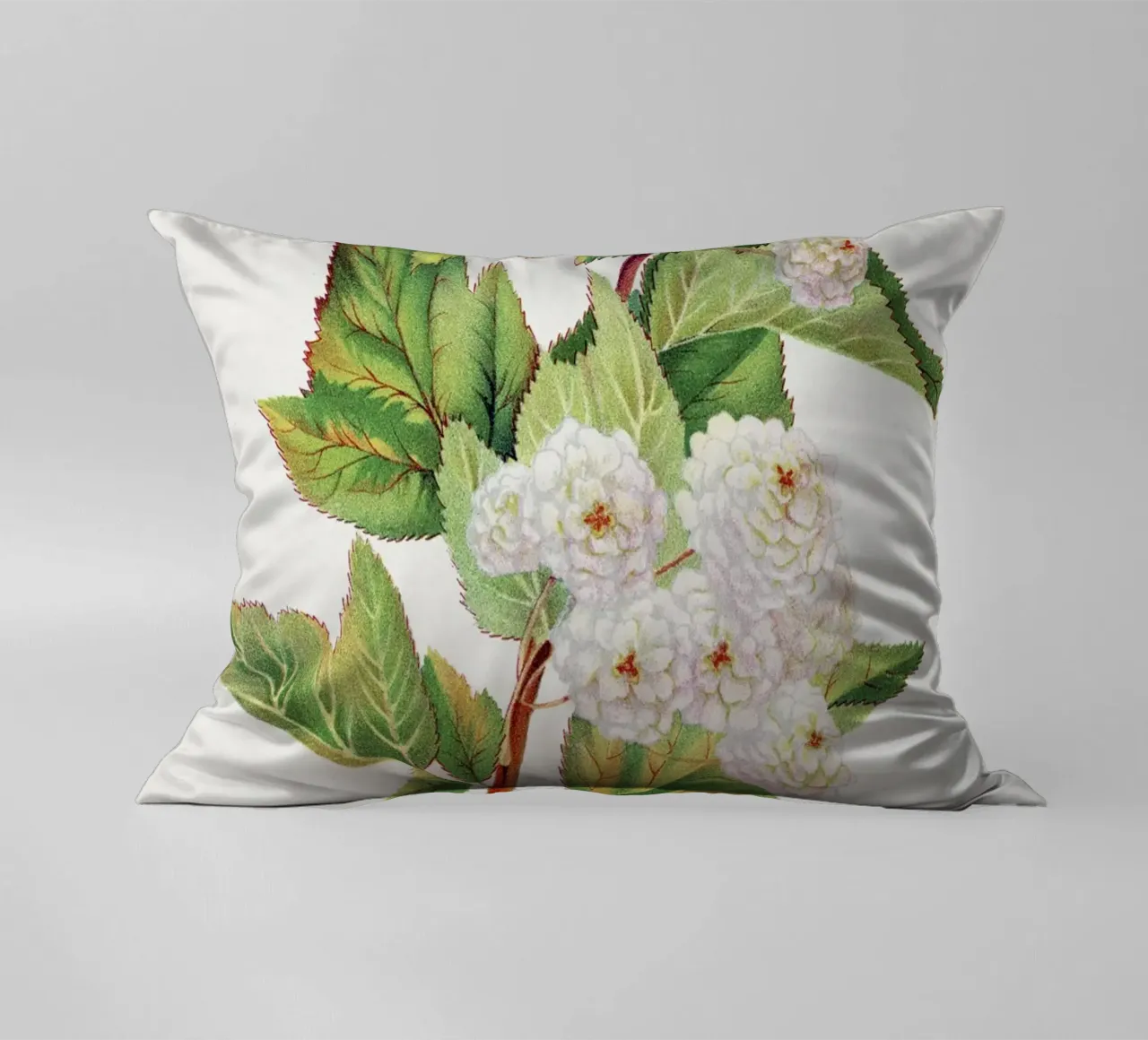 Spirea Aurea flowers cuscino da vintageshop