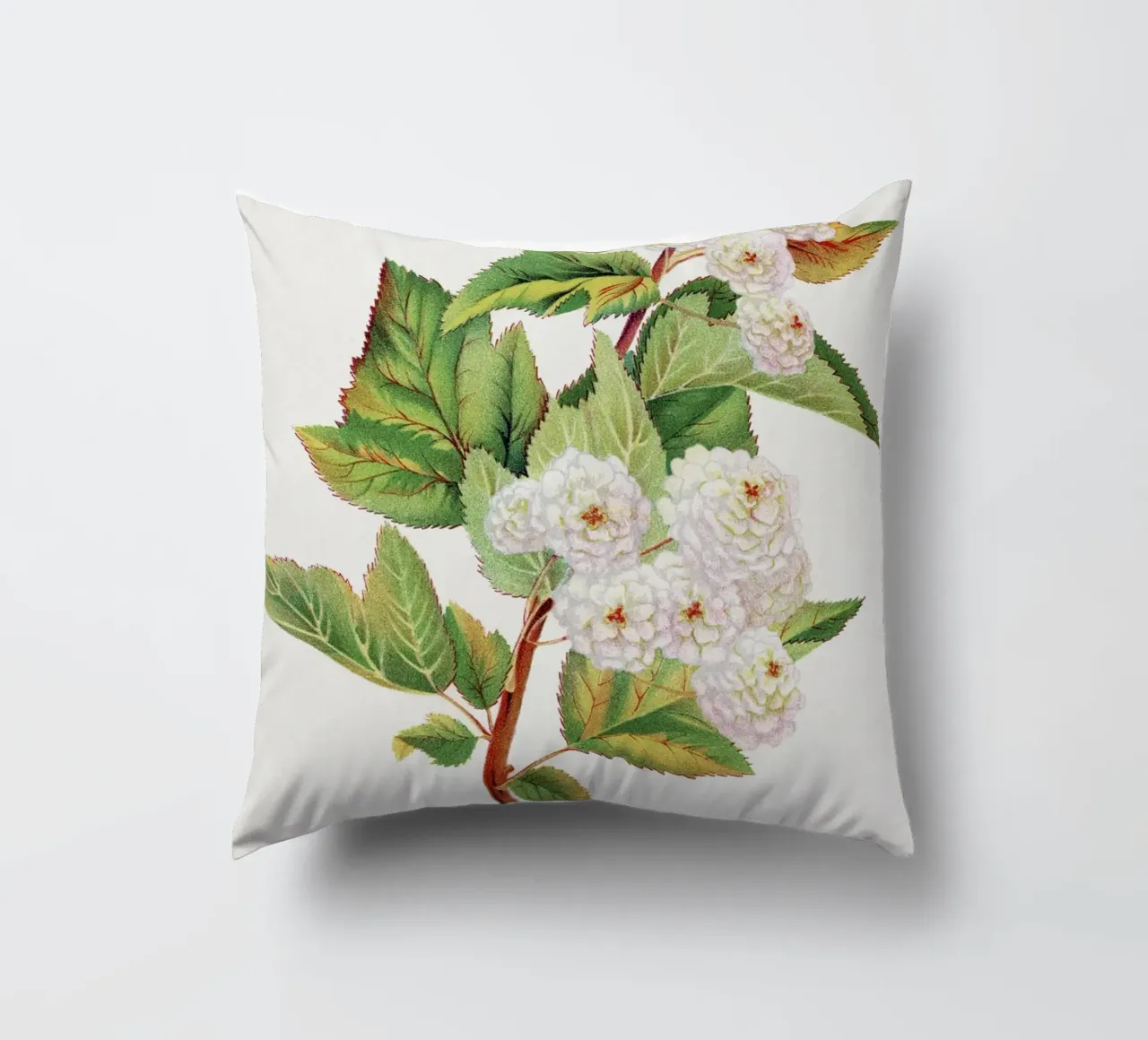 Spirea Aurea flowers cuscino da vintageshop