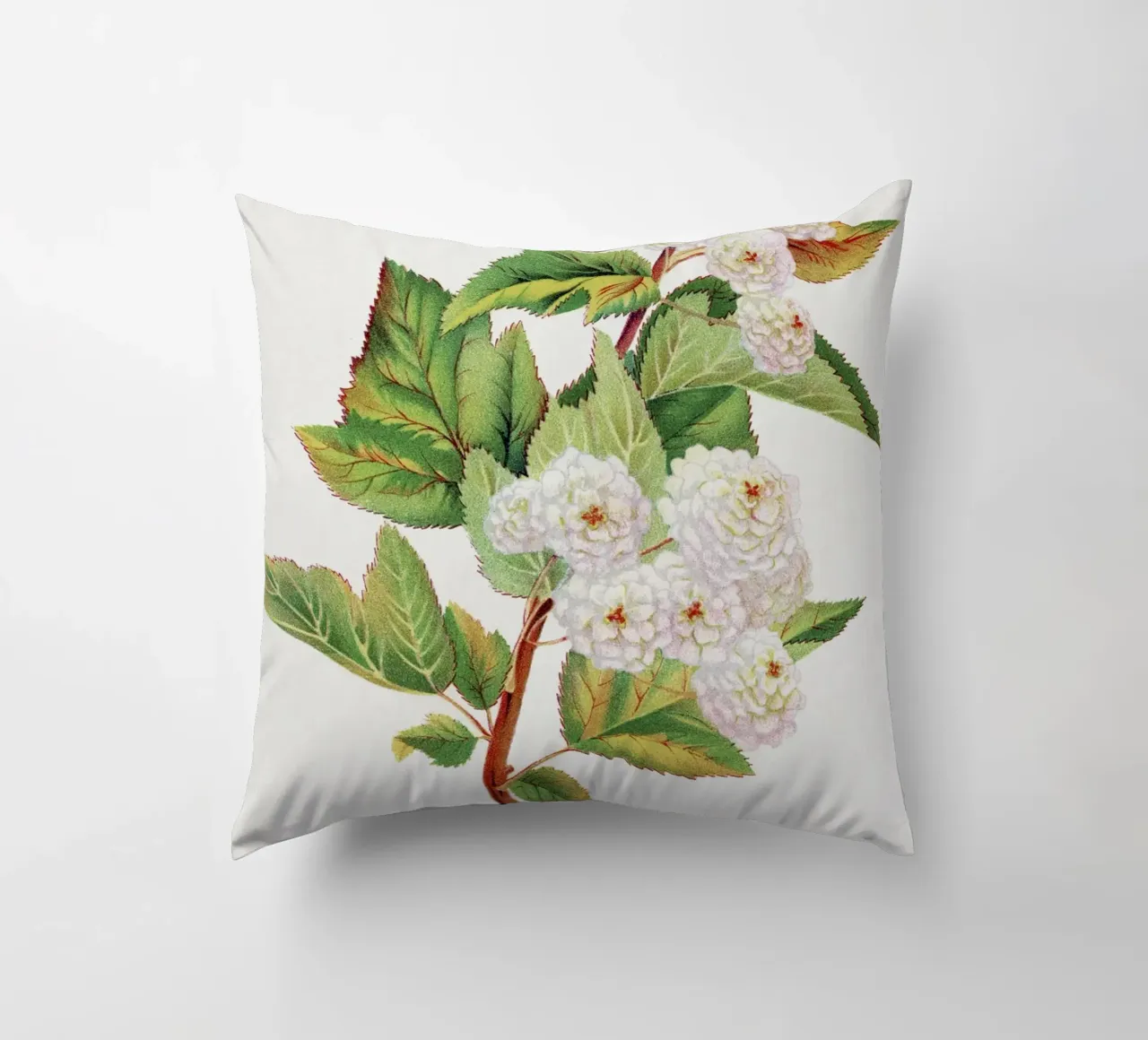 Spirea Aurea flowers cuscino da vintageshop
