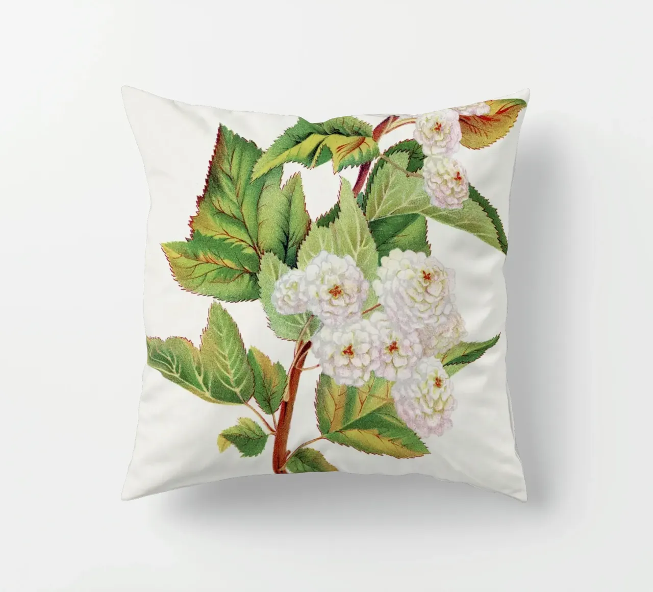Spirea Aurea flowers cuscino da vintageshop