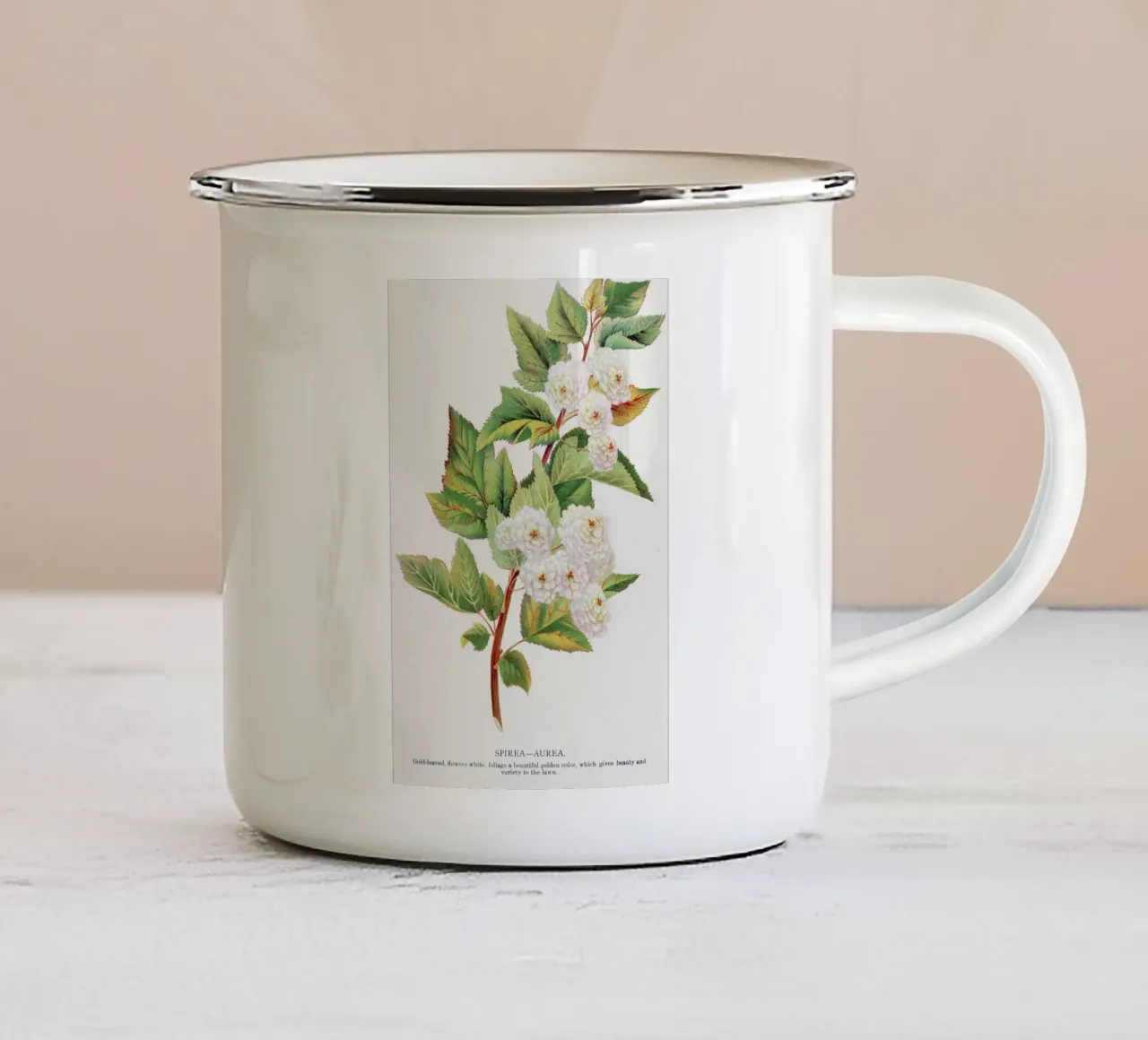 Spirea Aurea flowers tazza in smalto da vintageshop