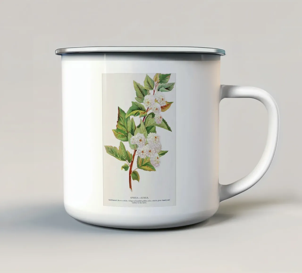 Spirea Aurea flowers tazza in smalto da vintageshop