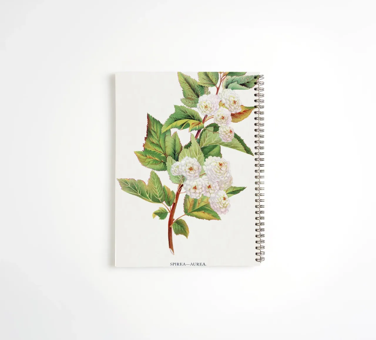 Spirea Aurea flowers spiral notebook by vintageshop