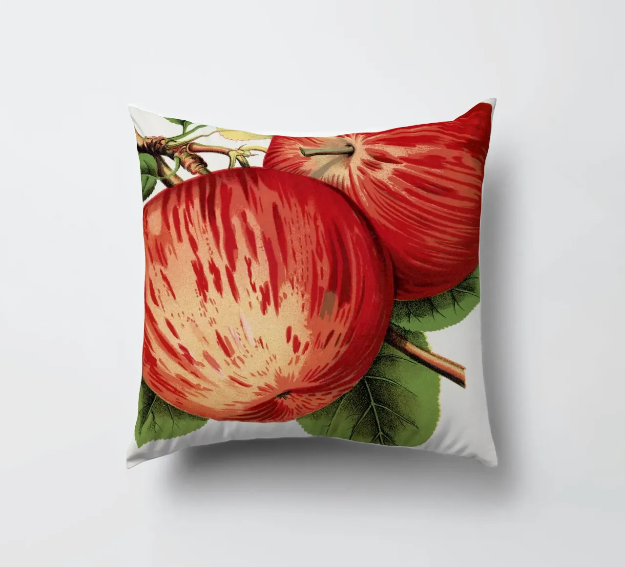 Duchess of Oldenburg apples cuscino da vintageshop