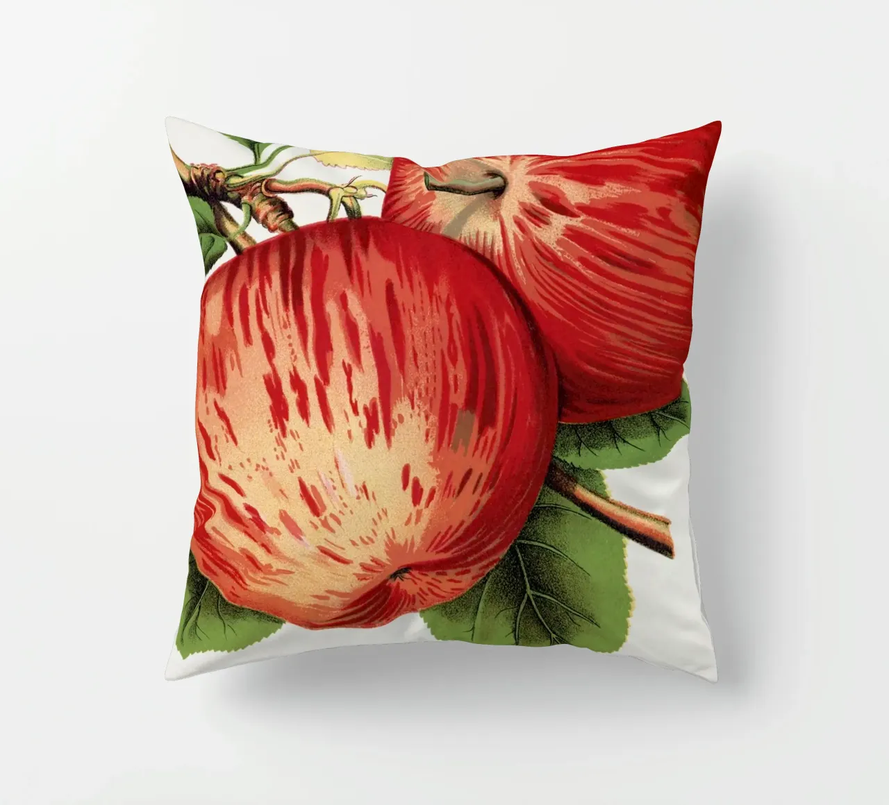 Duchess of Oldenburg apples cuscino da vintageshop