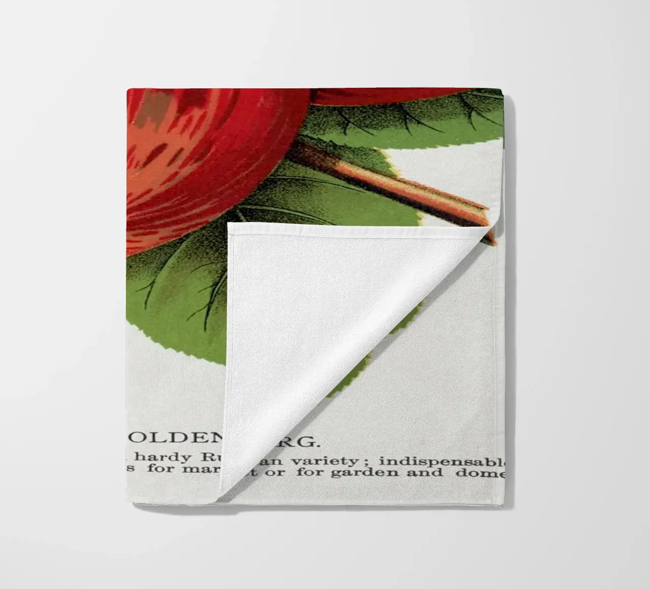 Duchess of Oldenburg apples telo mare da vintageshop