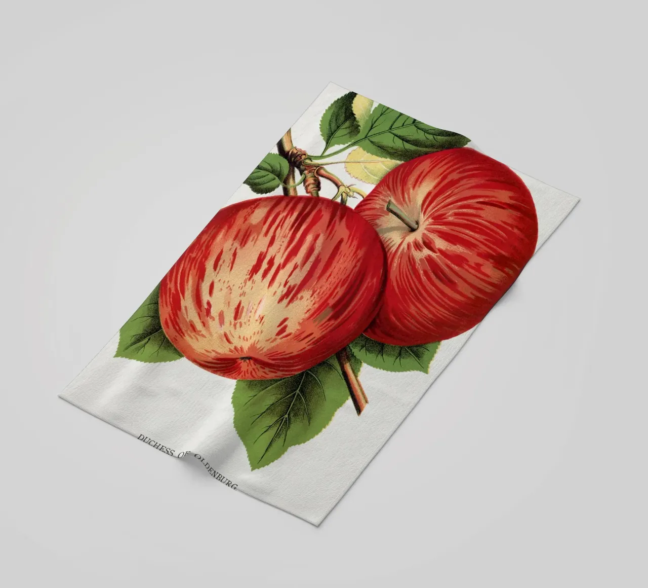 Duchess of Oldenburg apples telo mare da vintageshop