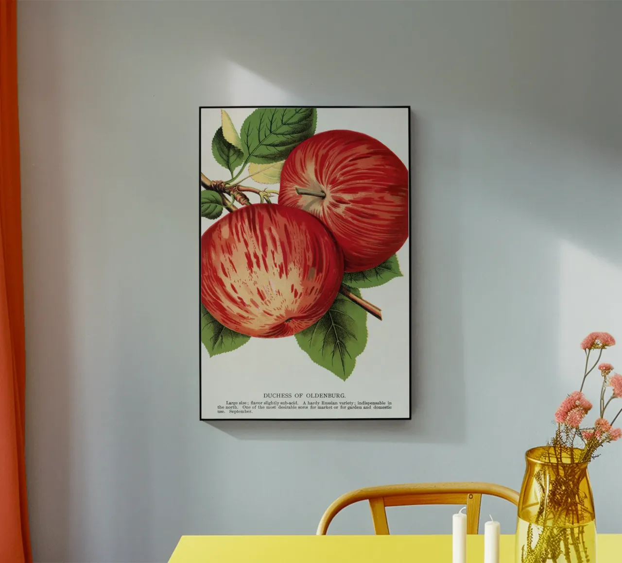 Duchess of Oldenburg apples plexiglass da vintageshop