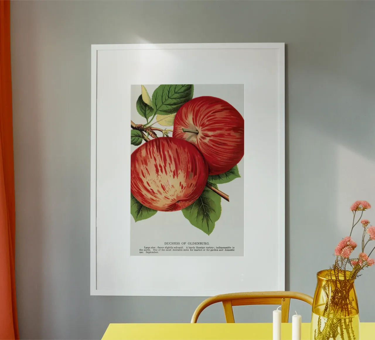 Duchess of Oldenburg apples carta hahnemühle da vintageshop