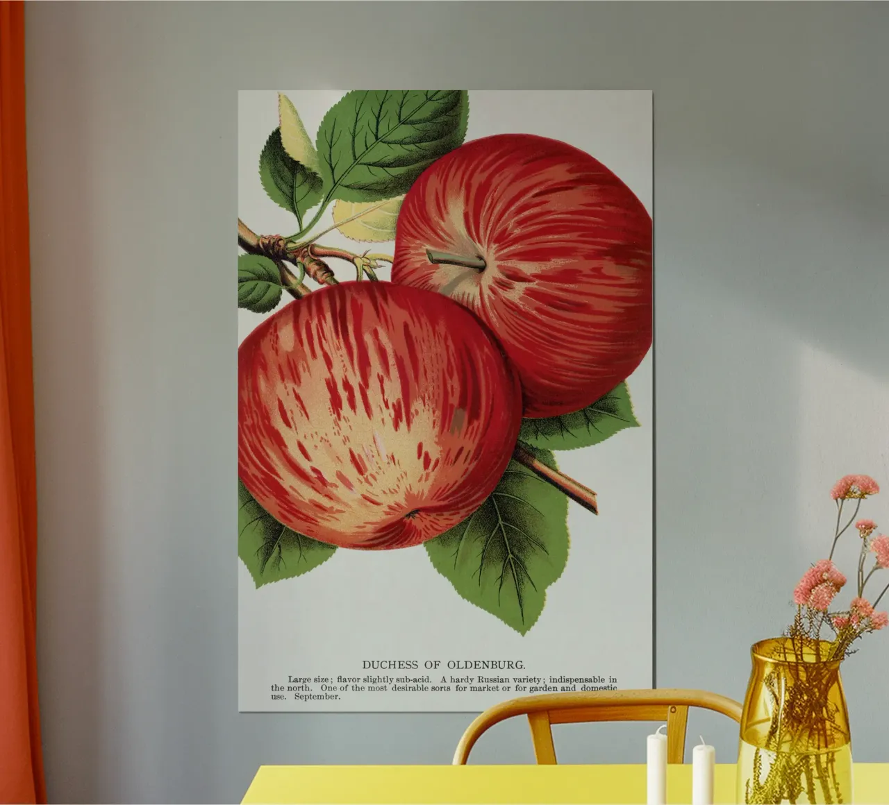 Duchess of Oldenburg apples carta hahnemühle da vintageshop