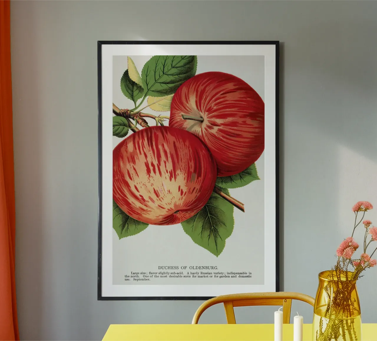 Duchess of Oldenburg apples carta hahnemühle da vintageshop