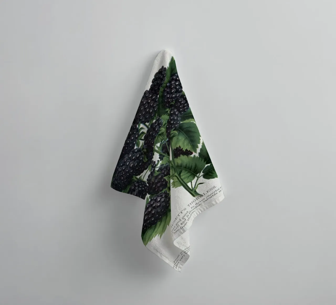 Wachusetts Thornless blackberry serviette de bain de vintageshop