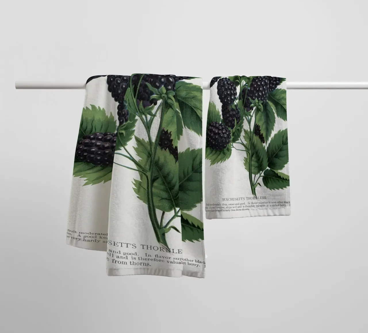 Wachusetts Thornless blackberry serviette de bain de vintageshop