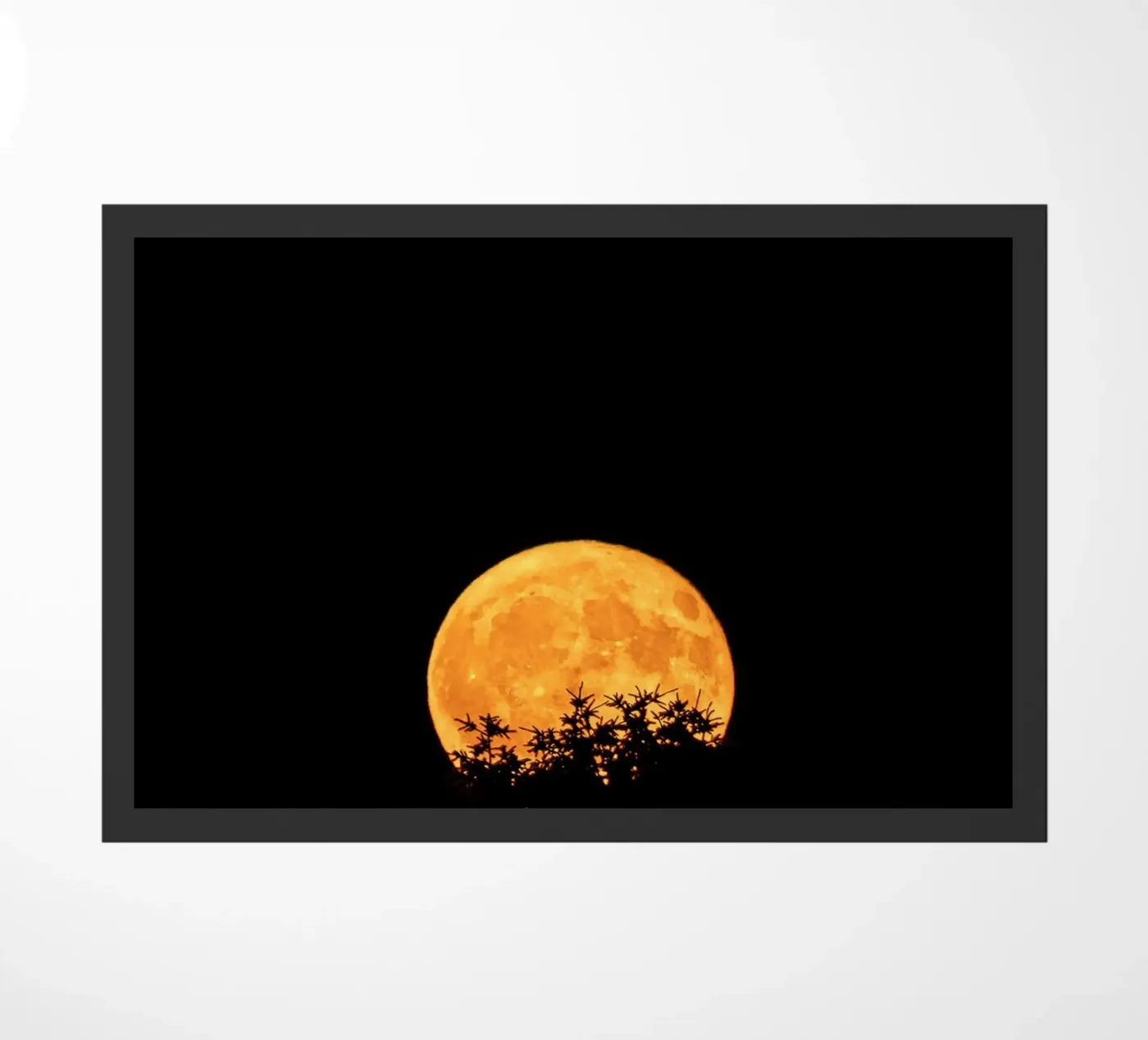 luna piena zerbino da Earthly Visions
