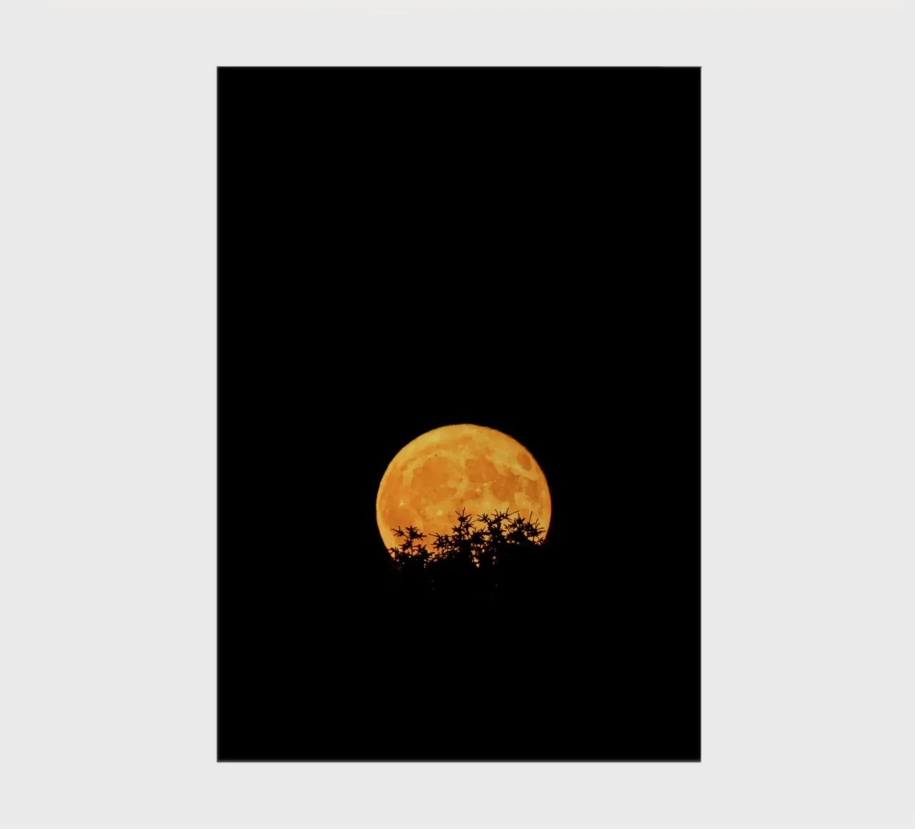 lune pleine lune carnet de notes de Earthly Visions