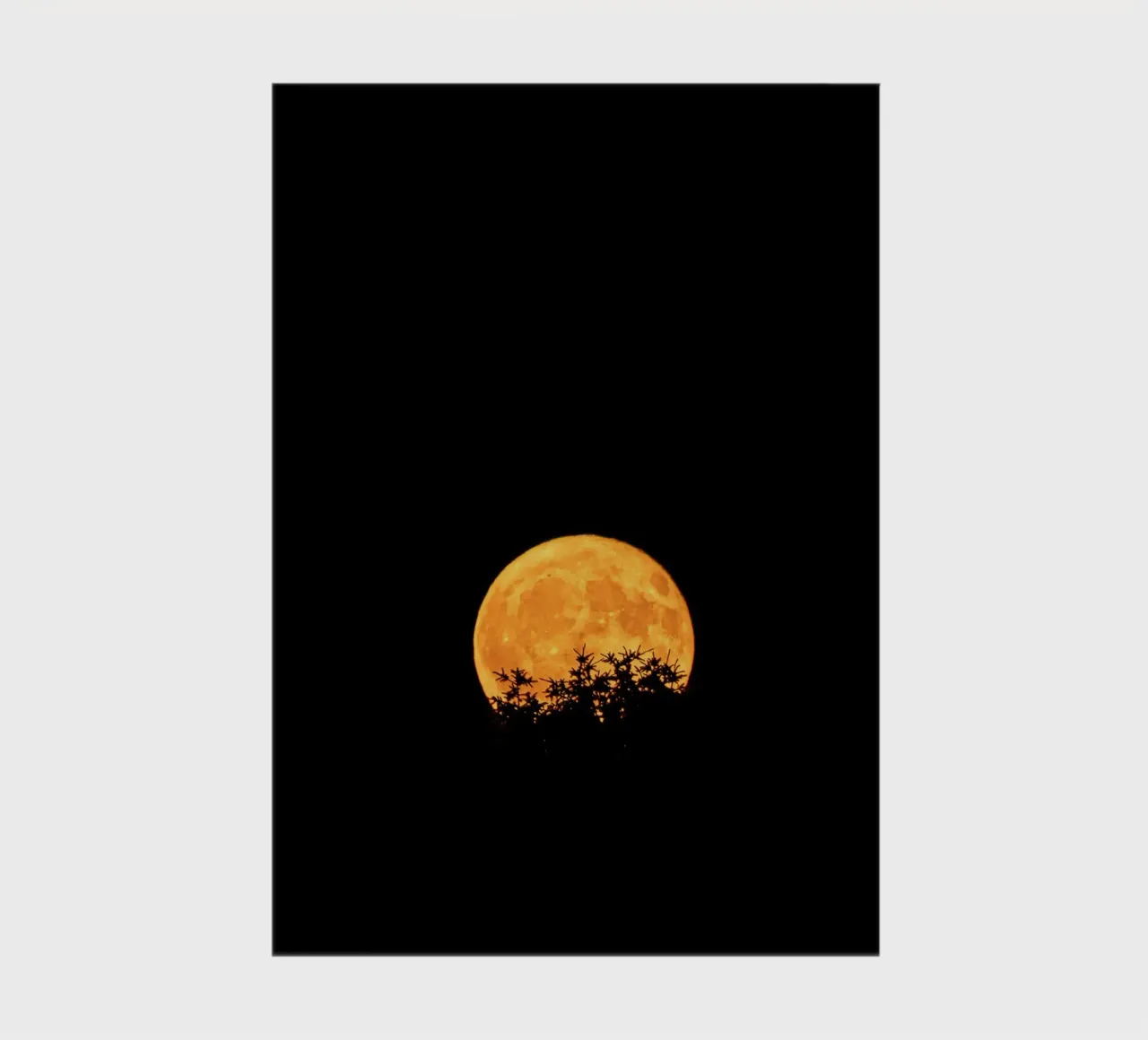 lune pleine lune carnet de notes de Earthly Visions