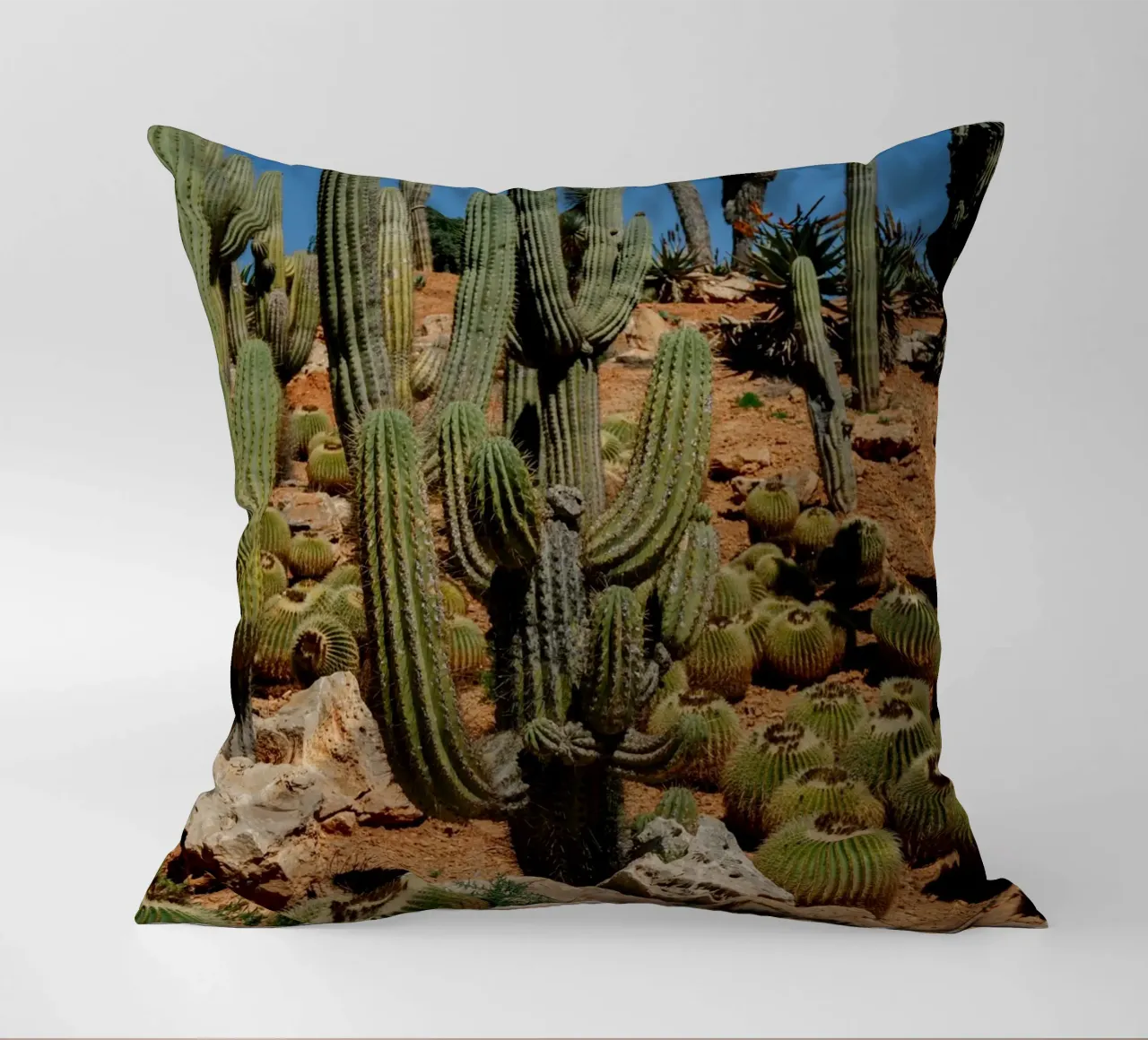 cactus piante del deserto cuscino da Earthly Visions