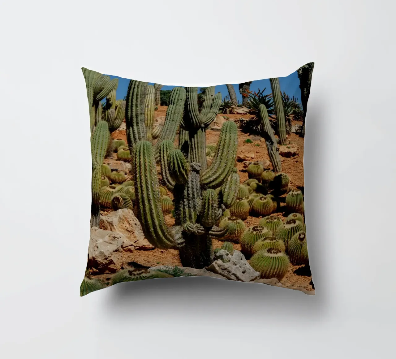 cactus piante del deserto cuscino da Earthly Visions