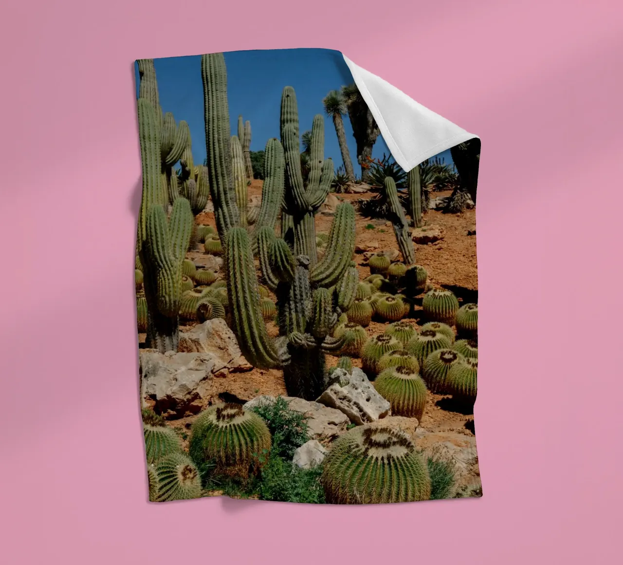 cactus piante del deserto coperta in pile da Earthly Visions