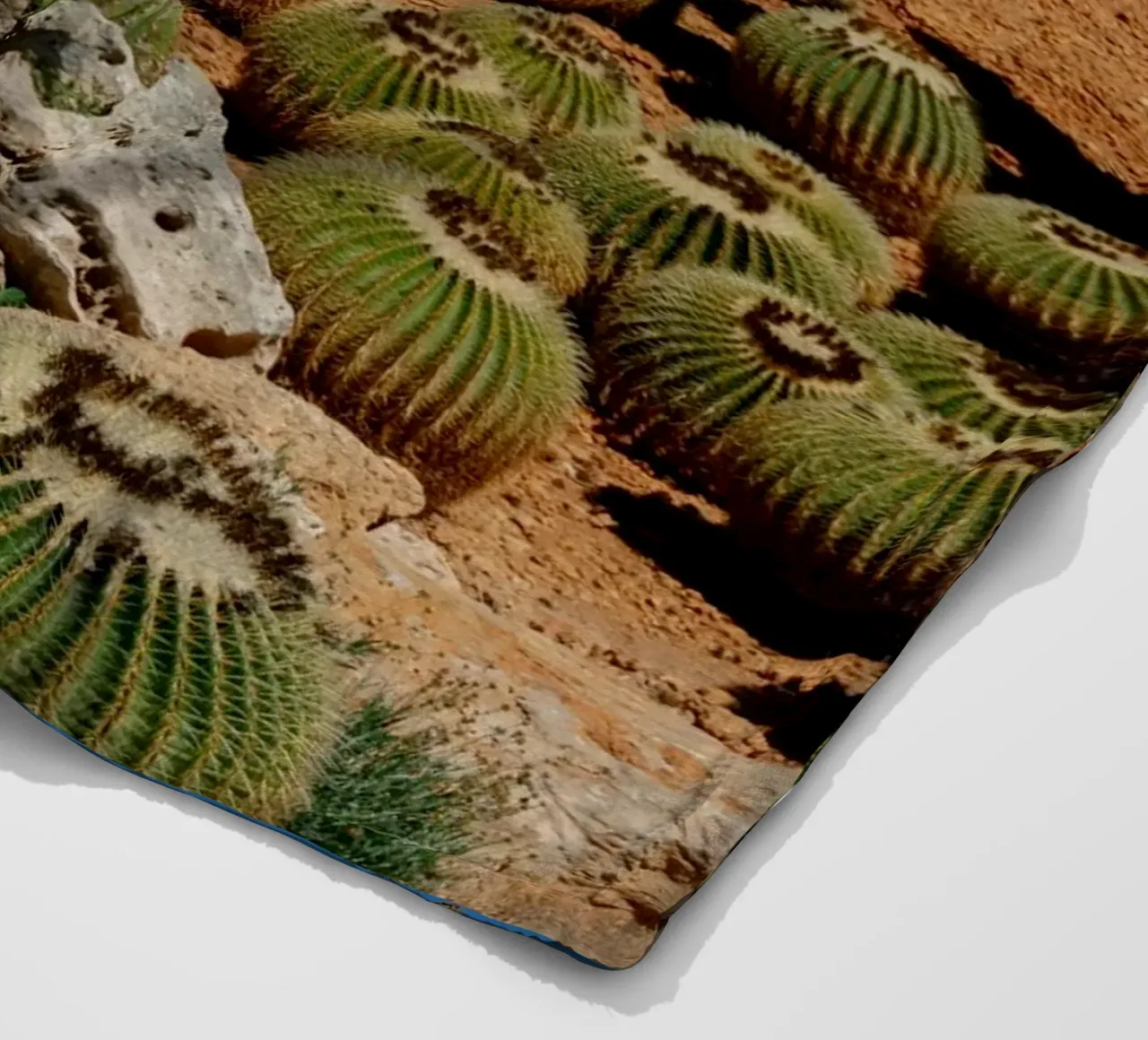 cactus piante del deserto coperta in pile da Earthly Visions
