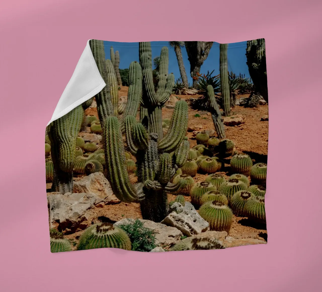 cactus piante del deserto coperta in pile da Earthly Visions