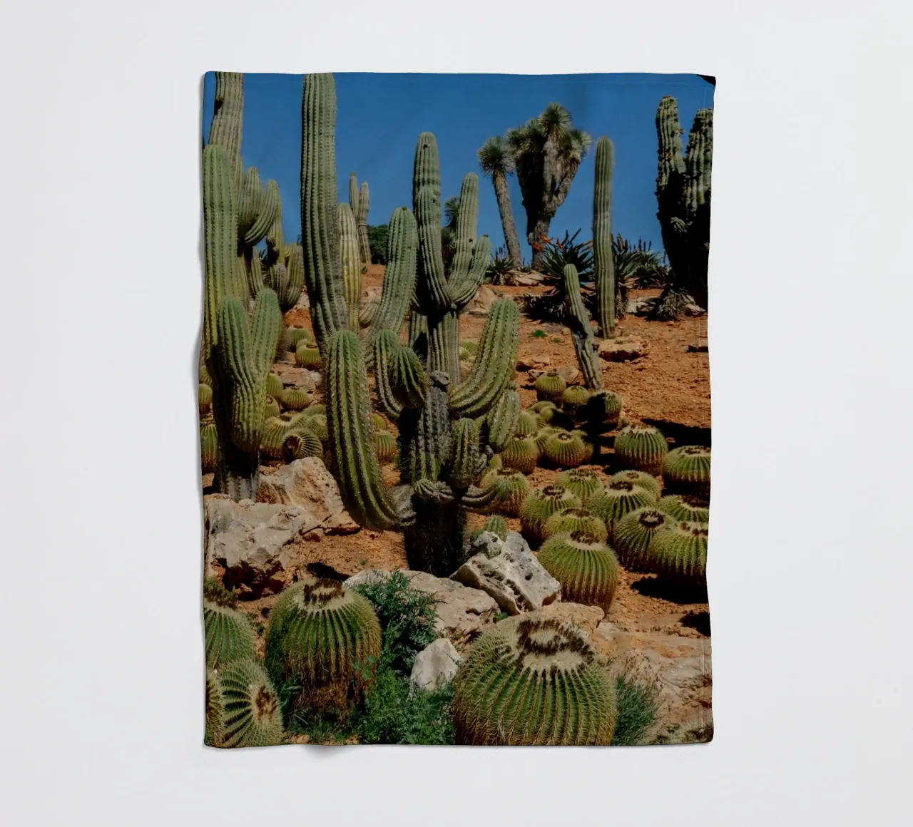 cactus piante del deserto coperta in pile da Earthly Visions