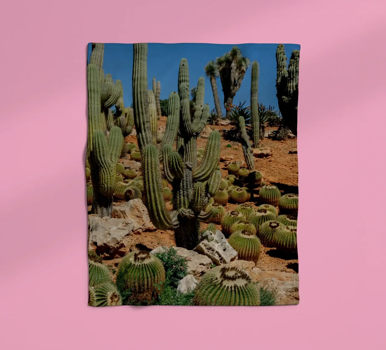 cactus piante del deserto coperta in pile da Earthly Visions