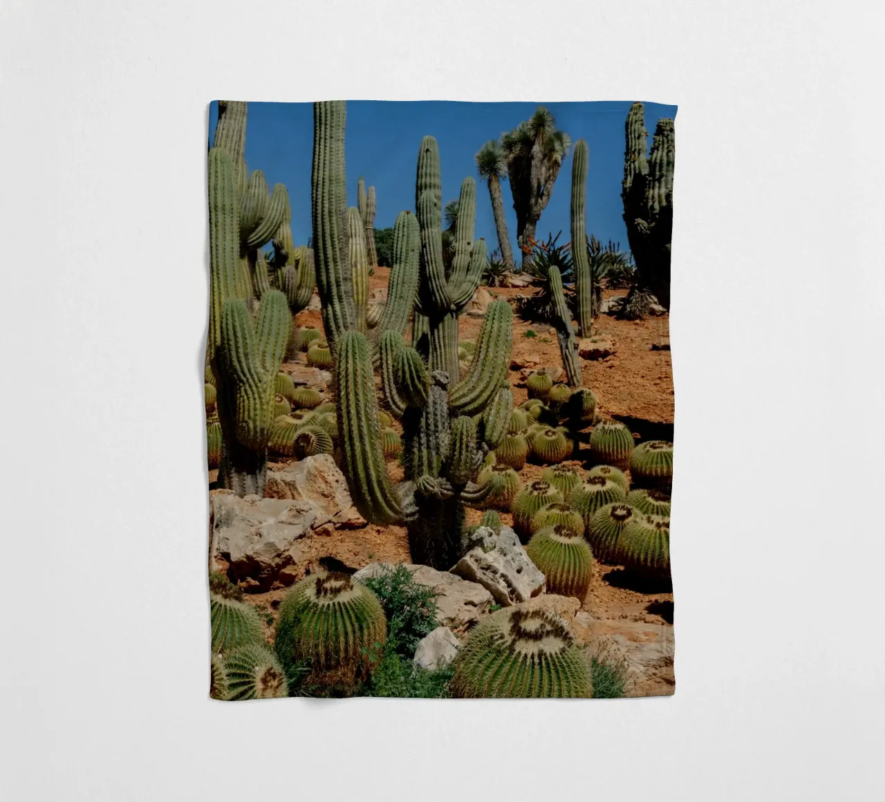 cactus piante del deserto coperta in pile da Earthly Visions