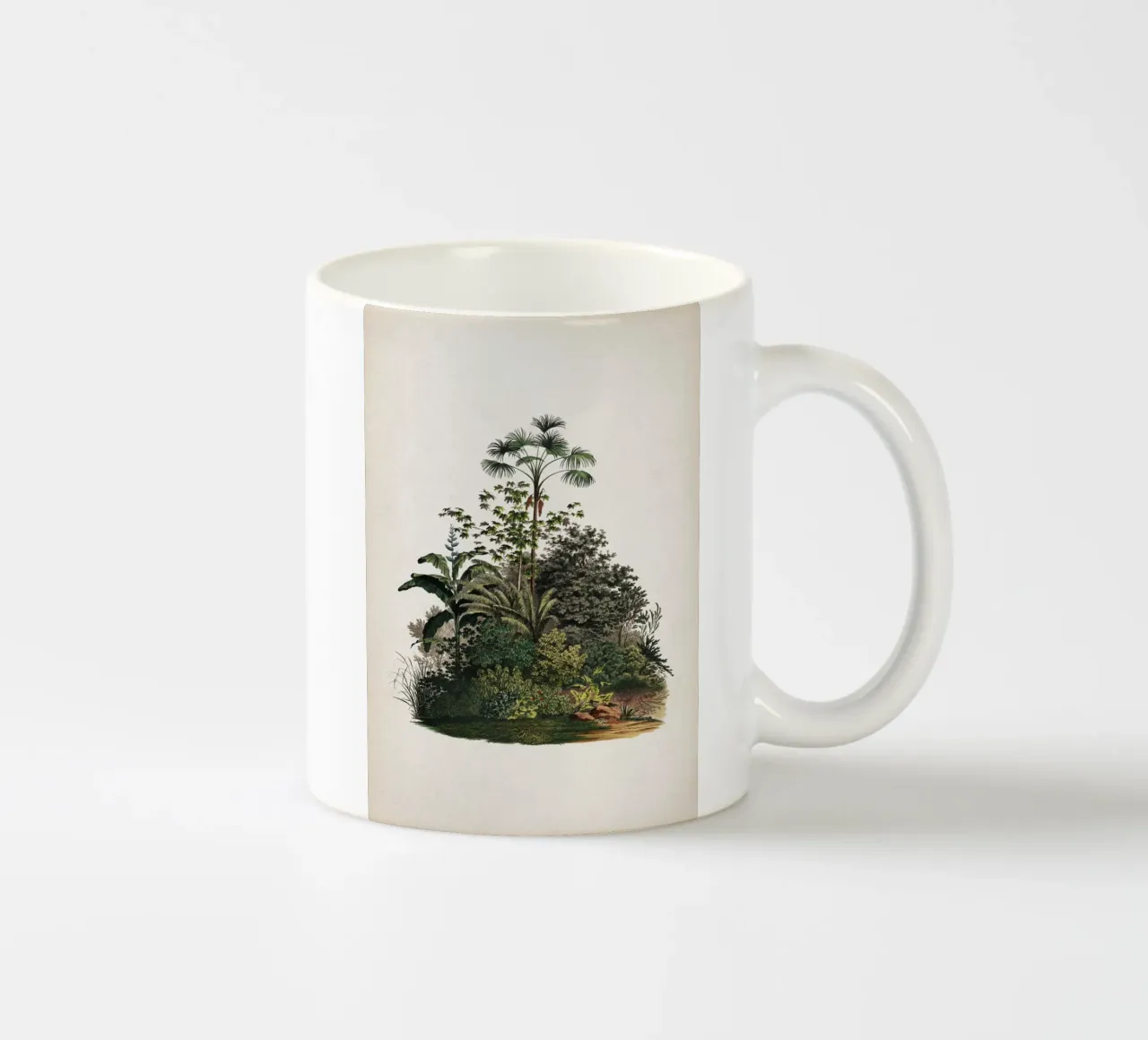 Vintage Martius 4 Mauritia Aculeata tazza in ceramica da Vintage Print Collection