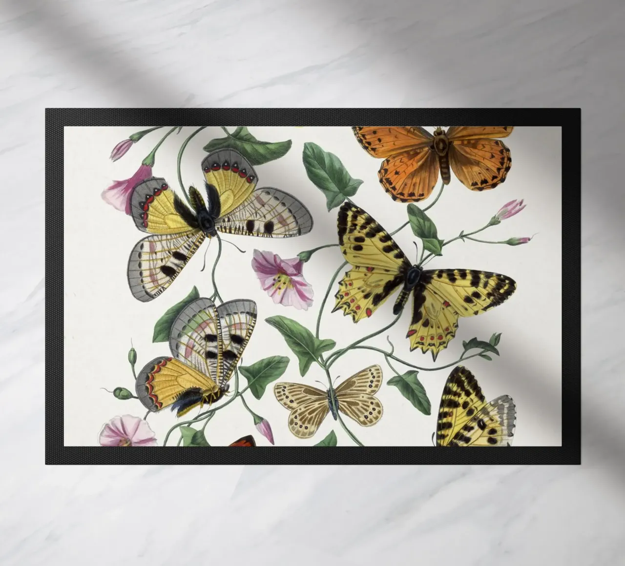 Butterfly & moth painting zerbino da vintageshop