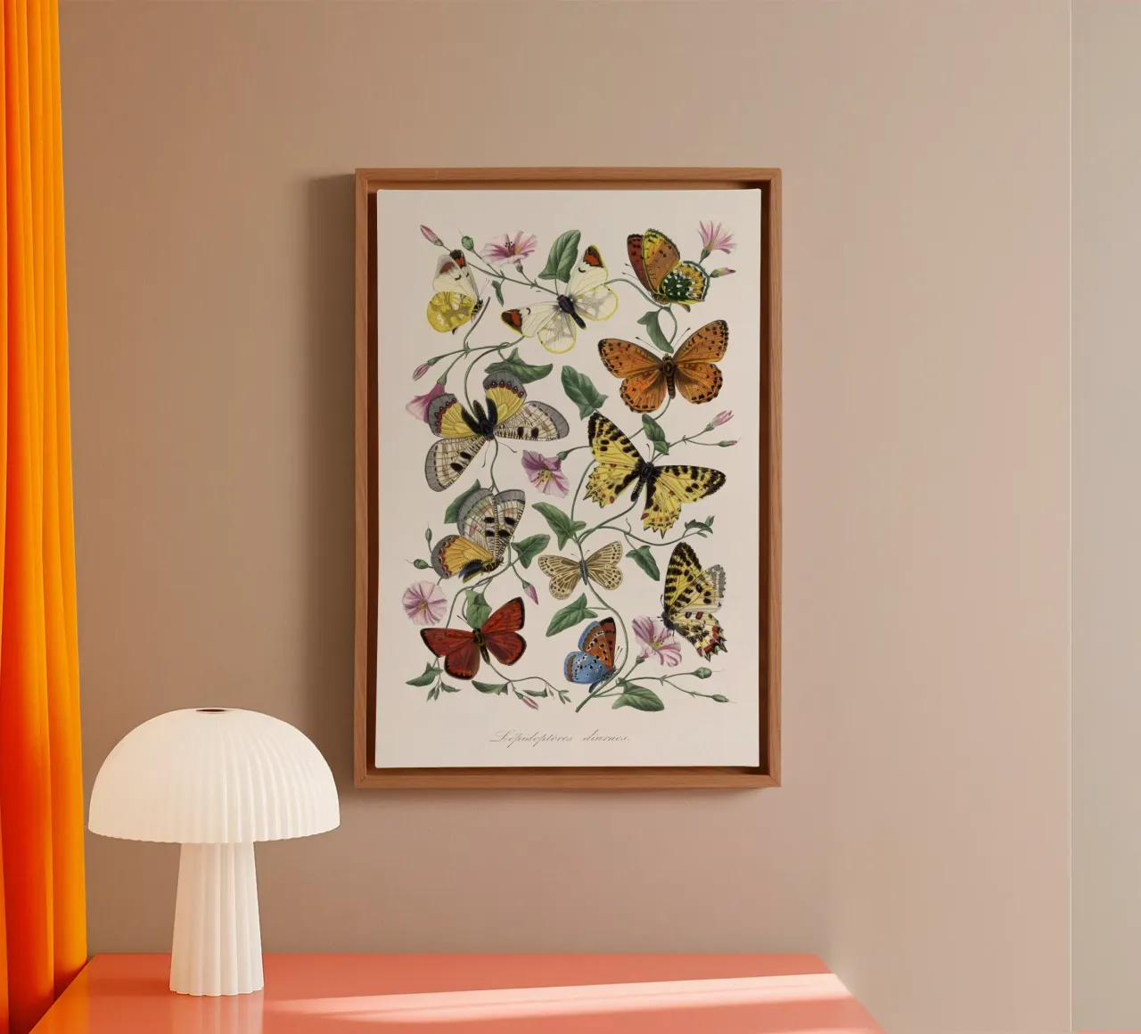 Butterfly & moth painting tela con Cornice a cassetta da vintageshop