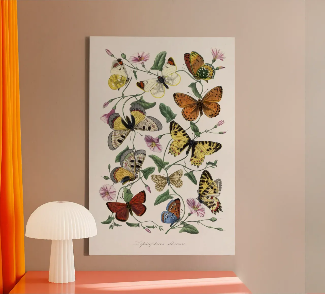 Butterfly & moth painting tela con Cornice a cassetta da vintageshop