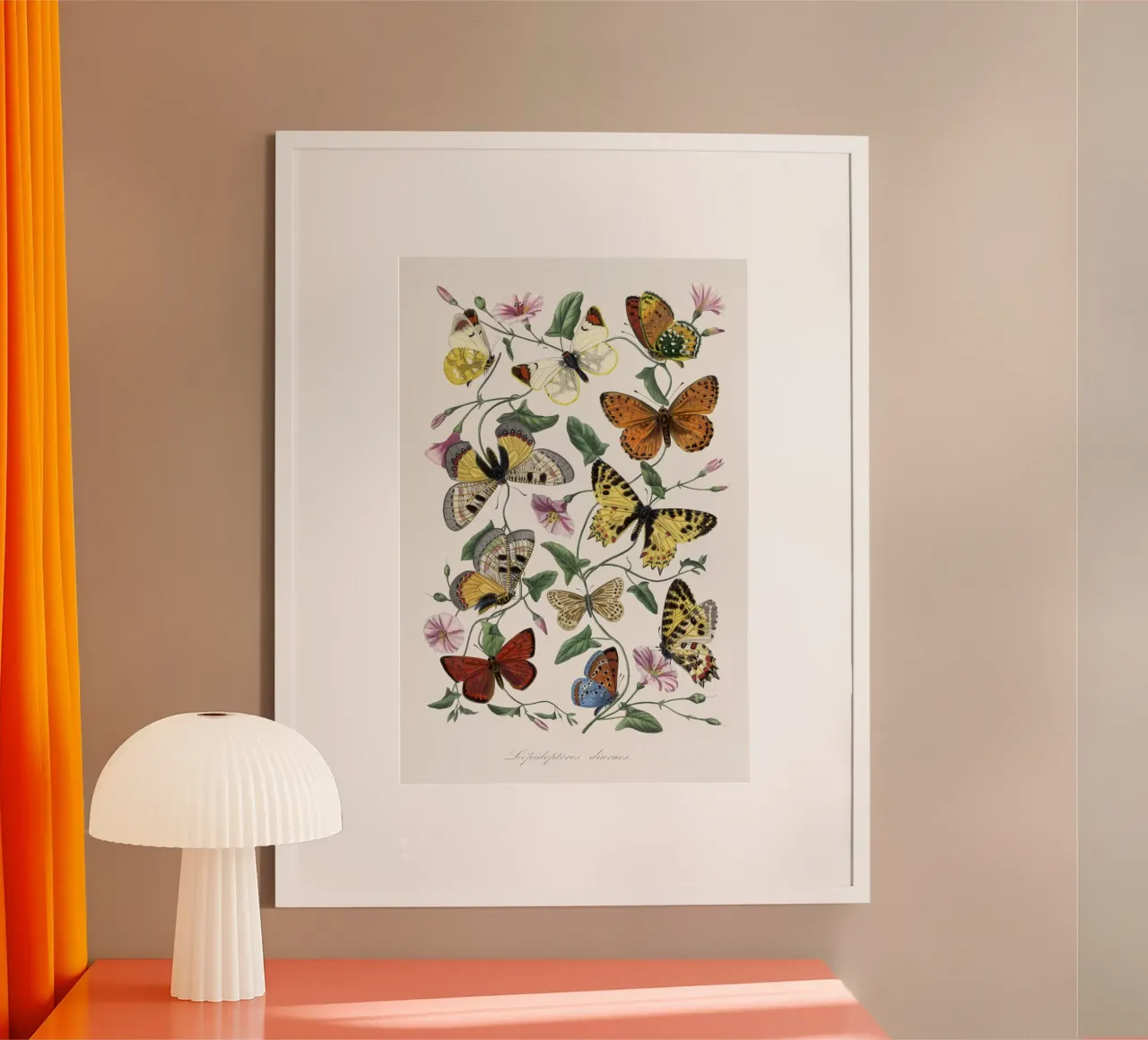 Butterfly & moth painting poster da vintageshop