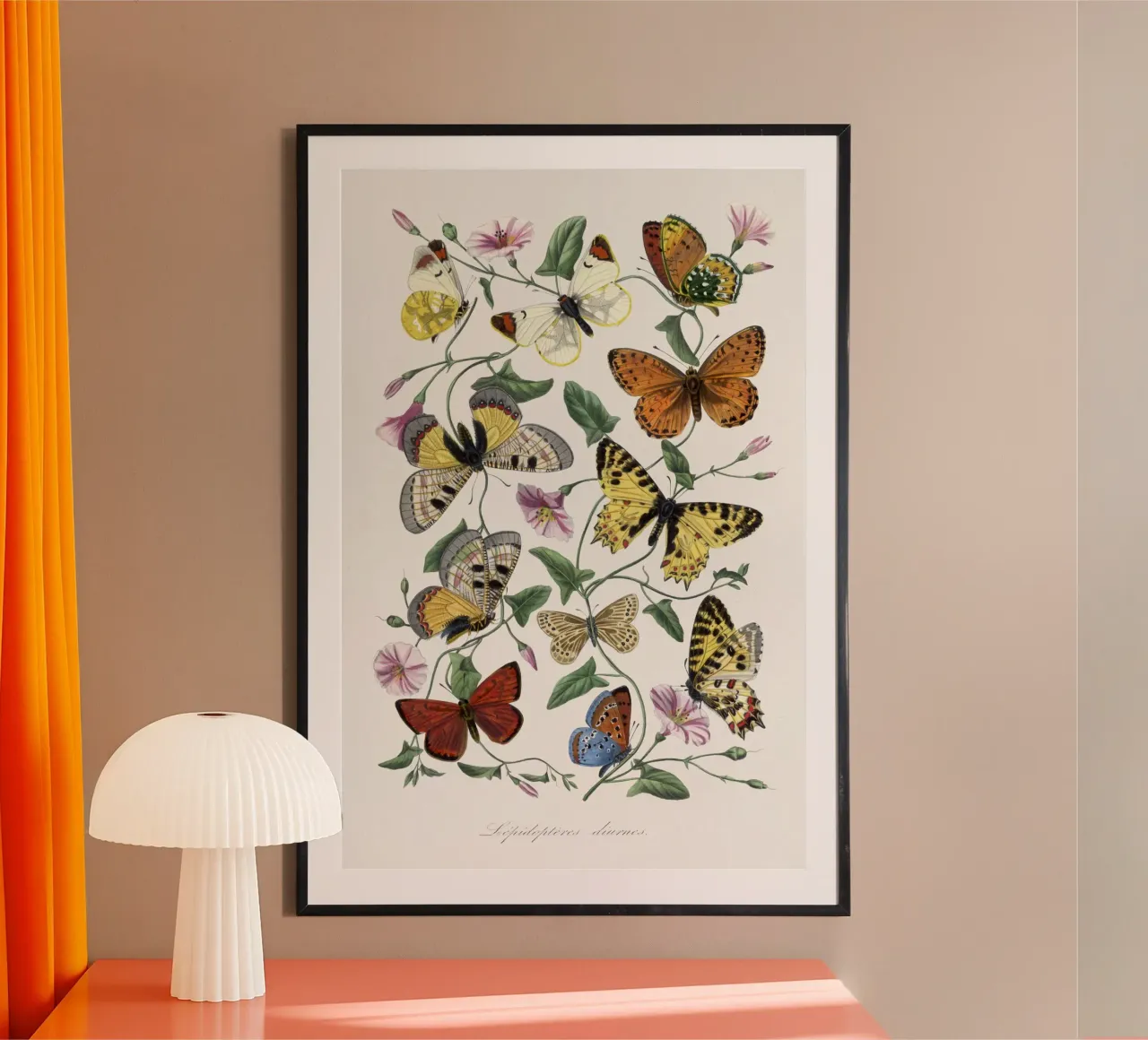 Butterfly & moth painting poster da vintageshop