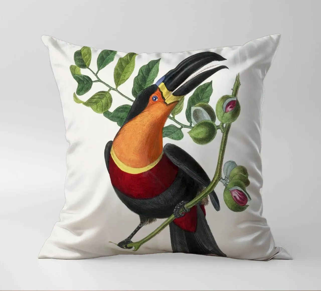 Channel billed toucan bird painting cuscino da vintageshop
