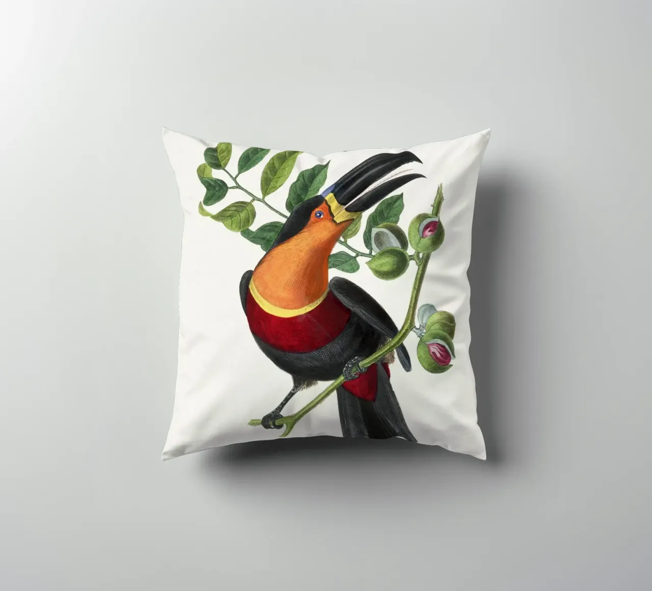 Channel billed toucan bird painting cuscino da vintageshop
