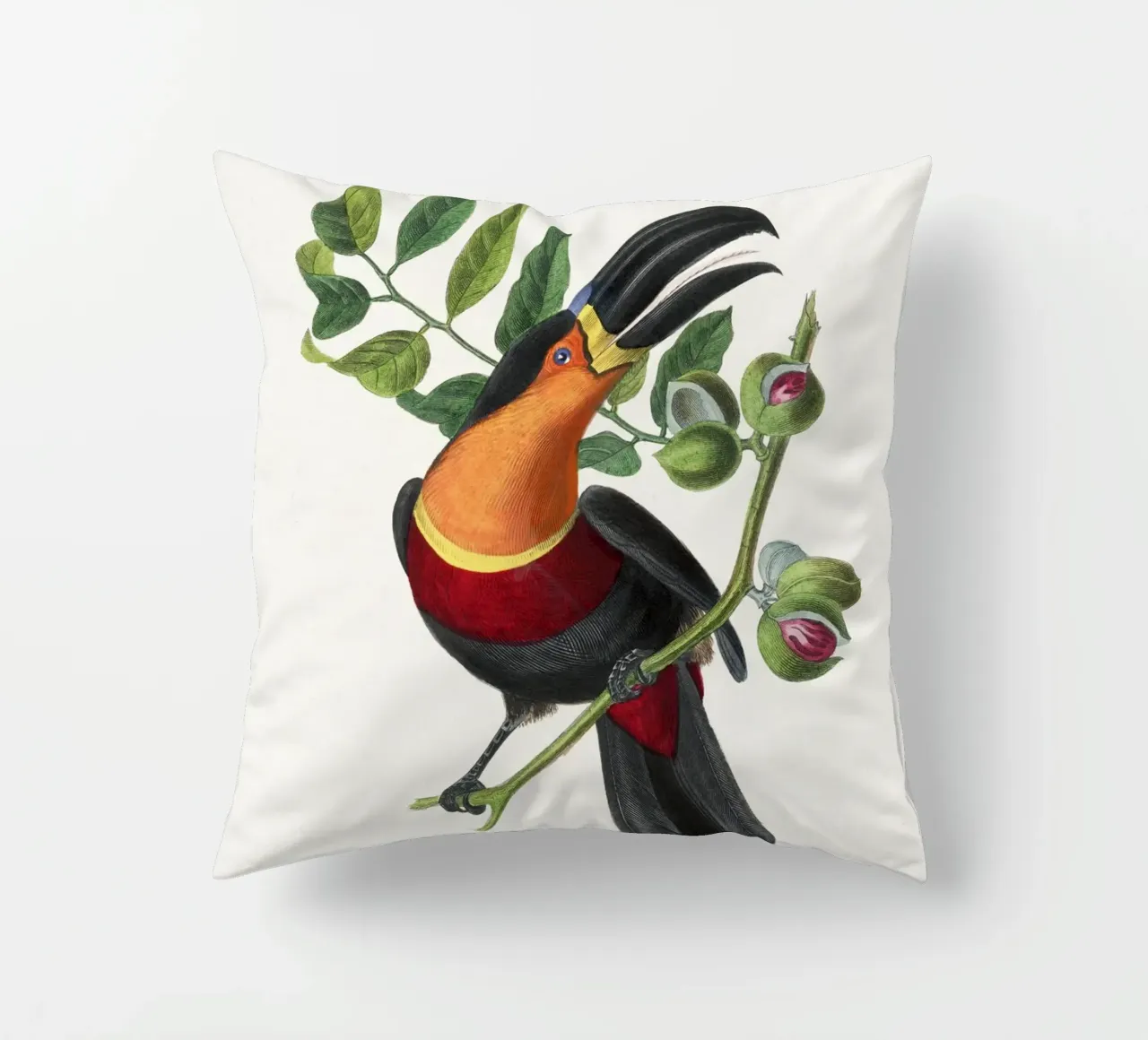 Channel billed toucan bird painting cuscino da vintageshop