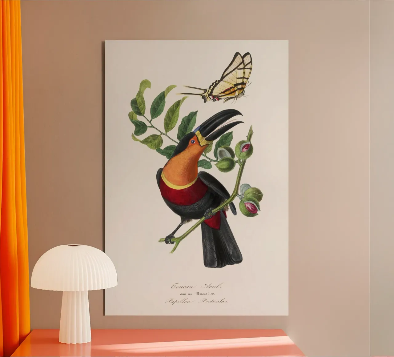 Channel billed toucan bird painting alluminio dibond da vintageshop