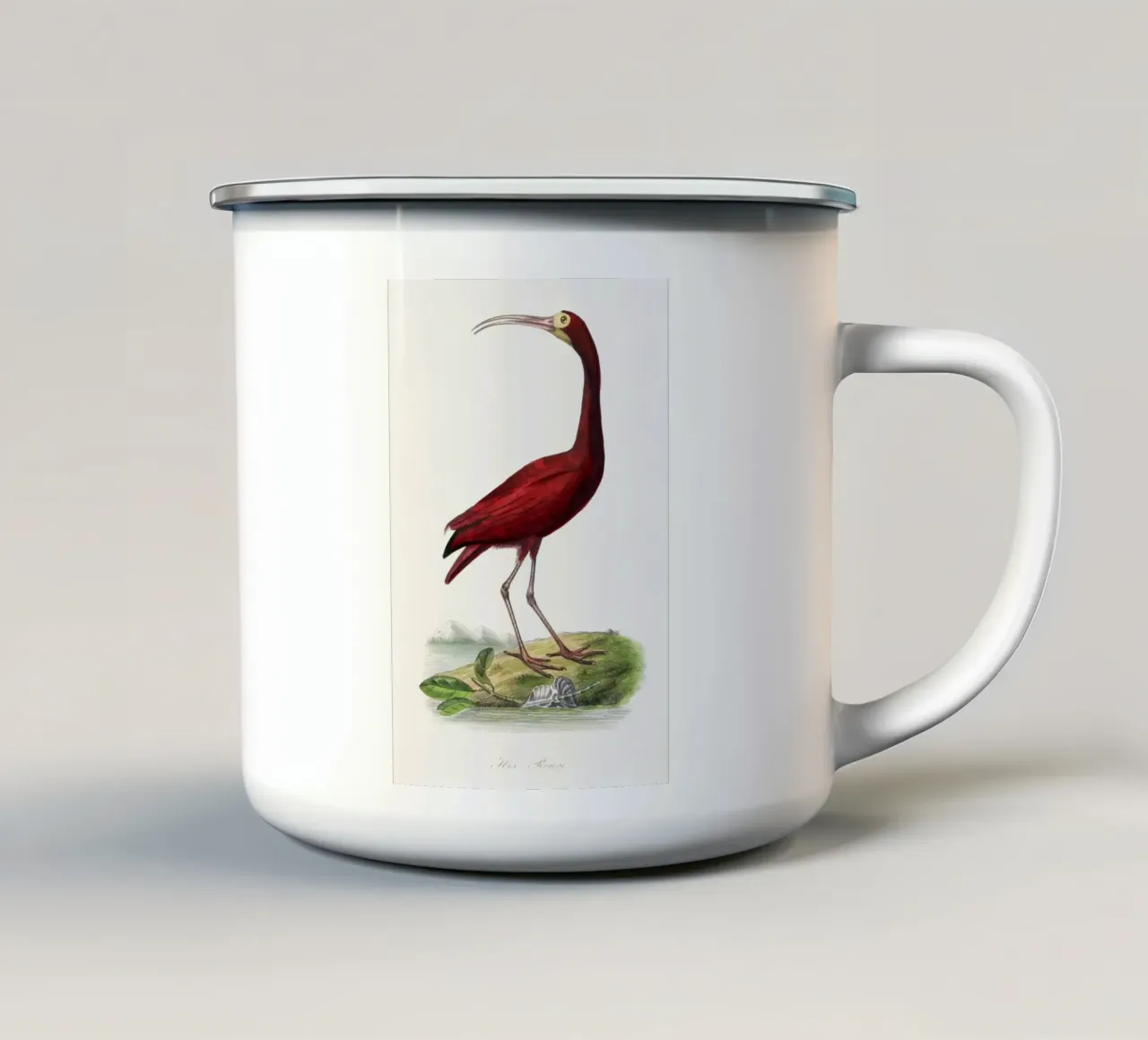 Scarlet ibis bird painting. tazza in smalto da vintageshop